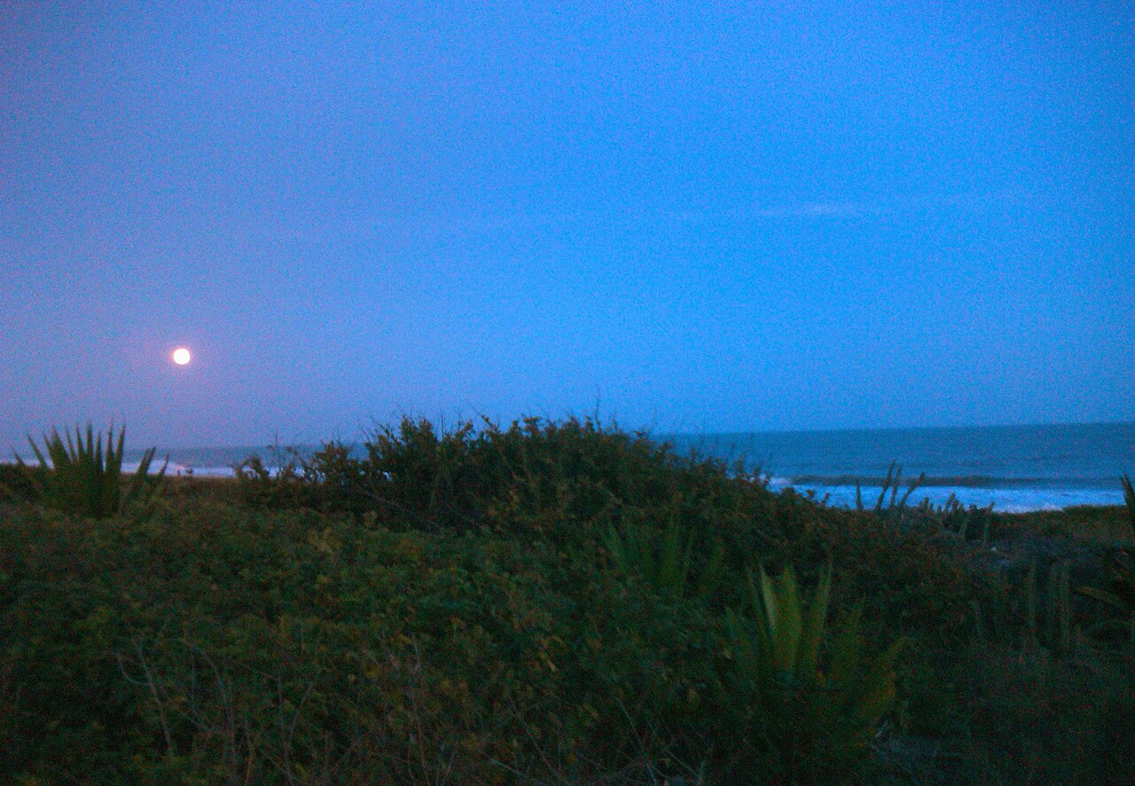 Praia de Barra Nova